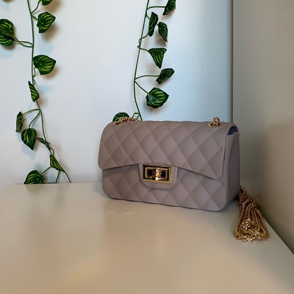Plastic Purse